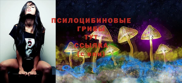 соль ск Ладушкин
