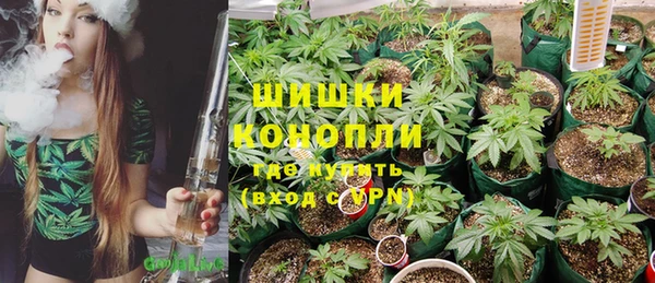 соль ск Ладушкин