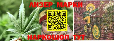 сатива Кингисепп