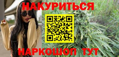 сатива Кингисепп