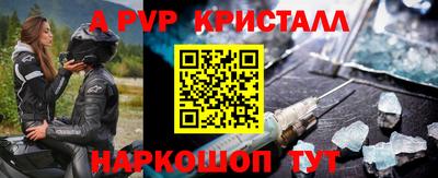 сатива Кингисепп