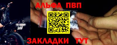 сатива Кингисепп