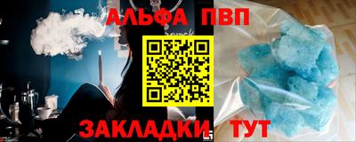 сатива Кингисепп
