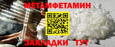 сатива Кингисепп