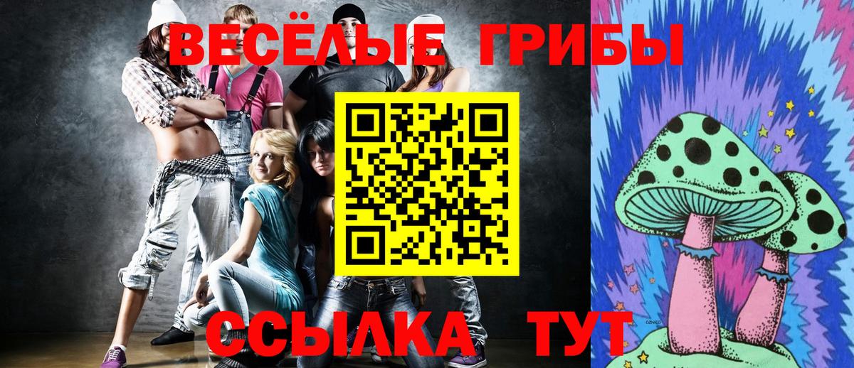 Псилоцибиновые грибы Psilocybe Усолье-Сибирское