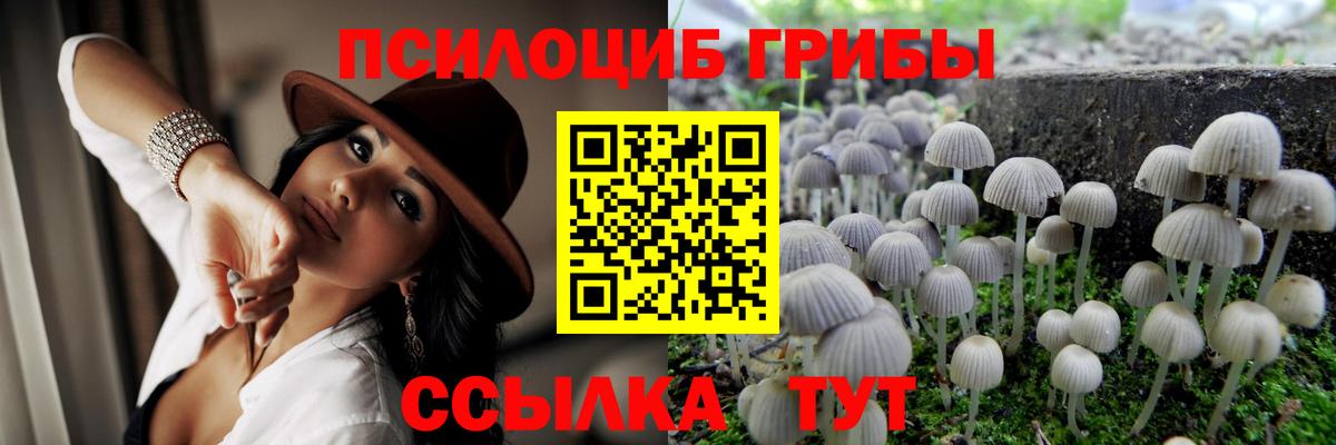 Усолье-Сибирское  Галлюциногенные грибы Psilocybe  Вход с VPN 